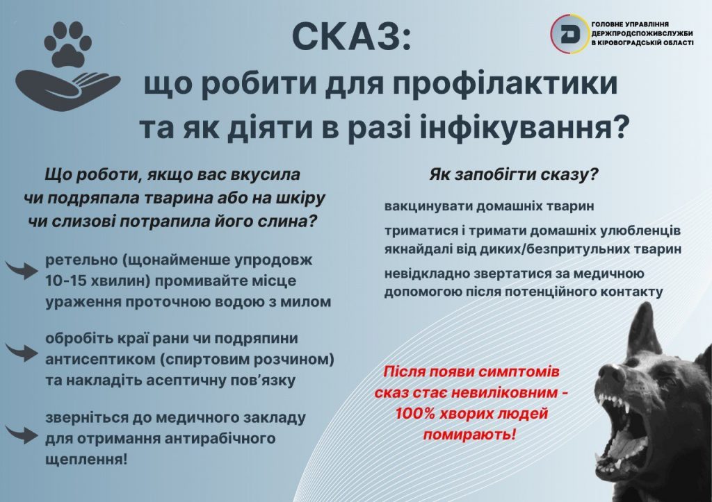 photo_2025-01-09_11-33-59 (сказ)